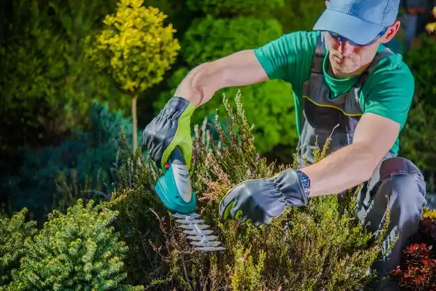 landscaping services Keytesville
